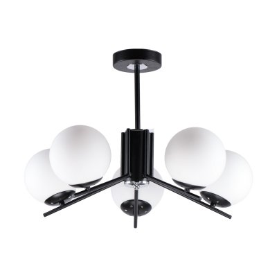 Люстра современная Экономсвет 20682/5BK WT