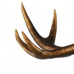 Уличный светильник Favourite 2078-1W Hunt