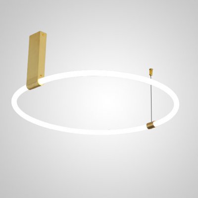 Потолочный светильник RINGMOR D80 R1 ImperiumLoft 207981-23