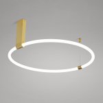Потолочный светильник RINGMOR D60 D80 R2 ImperiumLoft 207983-23
