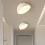 Потолочный светильник SELDEN D20 White ImperiumLoft 208111-23