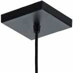 Люстра подвесная Favourite 2083-1P Dual