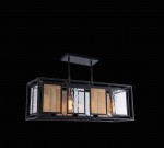 Люстра подвесная Favourite 2083-4P Dual