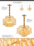 Люстра подвесная Favourite 2095-9P Congress
