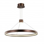 Люстра подвесная Favourite 2101-2P Saturn