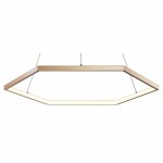 Люстра подвесная Favourite 2103-6P Hexagon