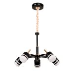 Люстра светодиодная Экономсвет 21089/5BK+GD WT+BK