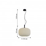 Люстра подвесная Favourite 2110-1P Rice Motif