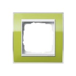 Gira EV CL Зеленый/Бел Рамка 1-ая (G211743)