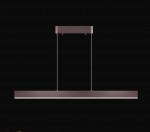 Люстра подвесная Favourite 2118-1P1 Officium