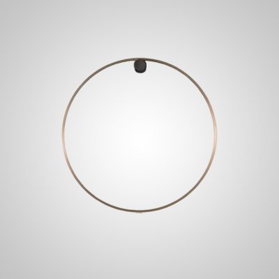 Настенный светильник WILD RING A D30 Brass ImperiumLoft 212050-23