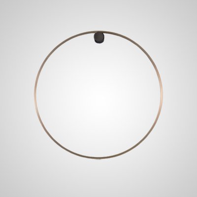 Настенный светильник WILD RING A D80 Brass ImperiumLoft 212058-23
