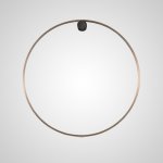 Настенный светильник WILD RING A D100 Brass ImperiumLoft 212059-23