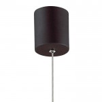 Люстра подвесная Favourite 2121-1P Cornetta