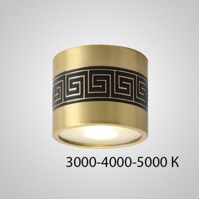 Точечный светильник BIEN D7.5 5W Трехцветный свет ImperiumLoft 212450-23