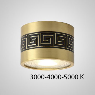 Точечный светильник BIEN D9,5 12W Трехцветный свет ImperiumLoft 212458-23