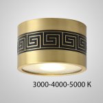 Точечный светильник BIEN D11,5 12W Трехцветный свет ImperiumLoft 212459-23