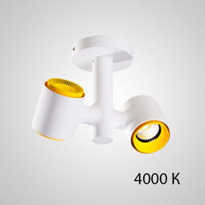 Точечный светильник RESTON PLANK L2 4000 К ImperiumLoft 212473-23