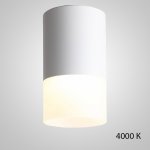 Точечный светильник TUGUR D6.4 White 4000 К ImperiumLoft 212520-23