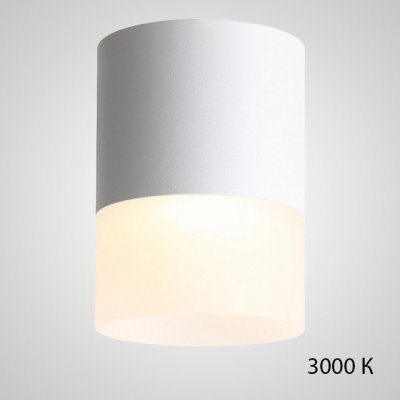 Точечный светильник TUGUR D11,8 White 3000 К ImperiumLoft 212527-23