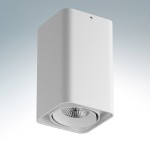 Светильник точечный накладной Lightstar 212536 Monocco