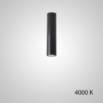 Точечный светильник PAN H20 Black 4000 К ImperiumLoft 212623-23