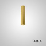 Точечный светильник PAN H20 Gold 4000 К ImperiumLoft 212630-23