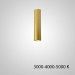 Точечный светильник PAN H20 Gold Трехцветный свет ImperiumLoft 212631-23