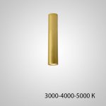 Точечный светильник PAN H30 Gold Трехцветный свет ImperiumLoft 212632-23