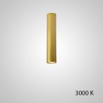 Точечный светильник PAN H30 Gold 3000 К ImperiumLoft 212633-23
