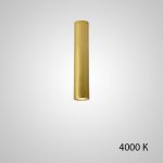 Точечный светильник PAN H30 Gold 4000 К ImperiumLoft 212634-23