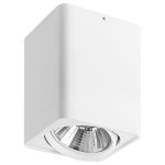 Светильник точечный накладной Lightstar 212636 Monocco