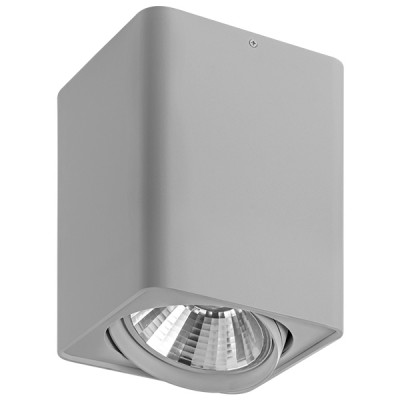

Светильник точечный накладной Lightstar 212639 Monocco, 212639