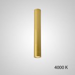 Точечный светильник PAN H50 Gold 4000 К ImperiumLoft 212648-23