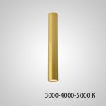 Точечный светильник PAN H50 Gold Трехцветный свет ImperiumLoft 212650-23
