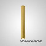 Точечный светильник PAN H80 Gold Трехцветный свет ImperiumLoft 212651-23