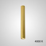 Точечный светильник PAN H80 Gold 4000 К ImperiumLoft 212653-23