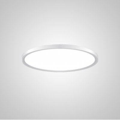 Потолочный светильник EXTRASLIM D40 White ImperiumLoft 212738-26