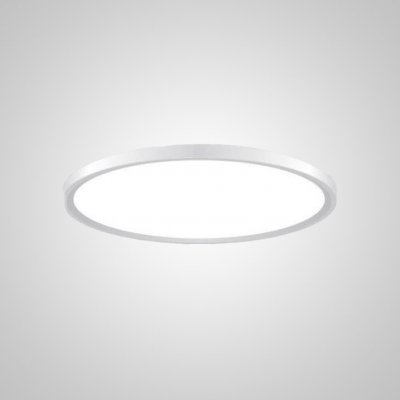 Потолочный светильник EXTRASLIM D50 White ImperiumLoft 212739-26