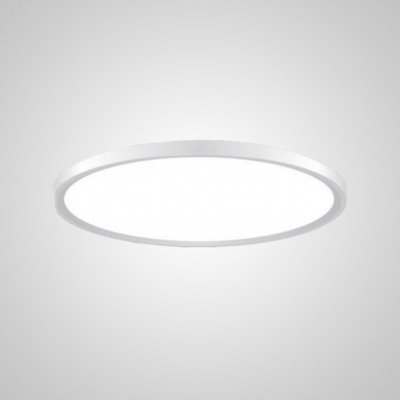 Потолочный светильник EXTRASLIM D60 White ImperiumLoft 212742-26