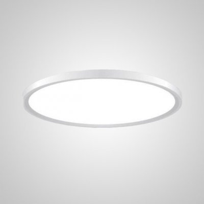 Потолочный светильник EXTRASLIM D80 White ImperiumLoft 212743-26