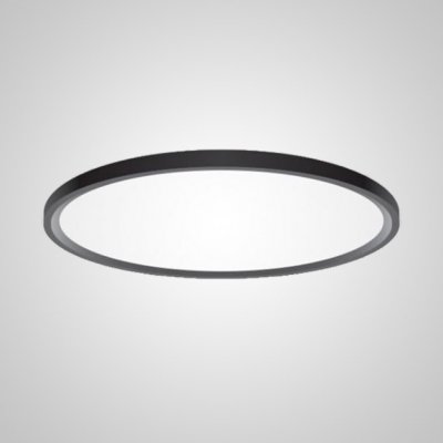 Потолочный светильник EXTRASLIM D80 Black ImperiumLoft 212745-26