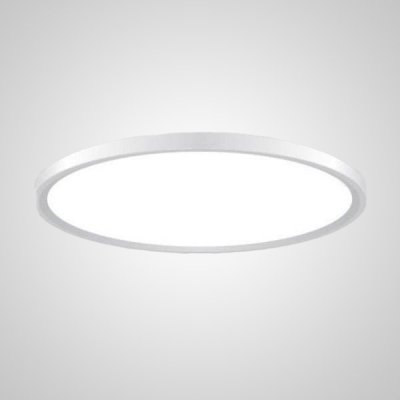 Потолочный светильник EXTRASLIM D100 White ImperiumLoft 212747-26