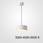 Подвесной светильник SIGGEN White Трехцветный свет ImperiumLoft 212931-23