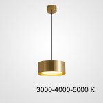 Подвесной светильник SIGGEN Brass Трехцветный свет ImperiumLoft 212934-23