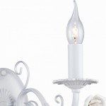 Настенный светильник Favourite 2134-2W Rosetta