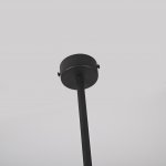 Потолочный светильник GORDIAN Black 10W ImperiumLoft 213633-23