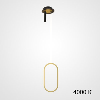 Подвесной светильник STRING D Black 4000К ImperiumLoft 213728-26