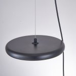 Подвесной светильник MARGOTT D25 Black ImperiumLoft 213907-23