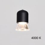 Подвесной светильник ADAR Black 4000К ImperiumLoft 213926-23